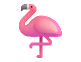 фламинго, фламинго цвет, фламинго птица, фламинго символ, розовый фламинго
