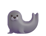 seal, ghost course, smile seal, sea elephant, seal emoji