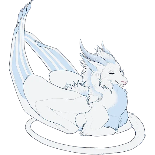 dragons, white dragons, the dragon is icy, snow dragon, dragon sketch