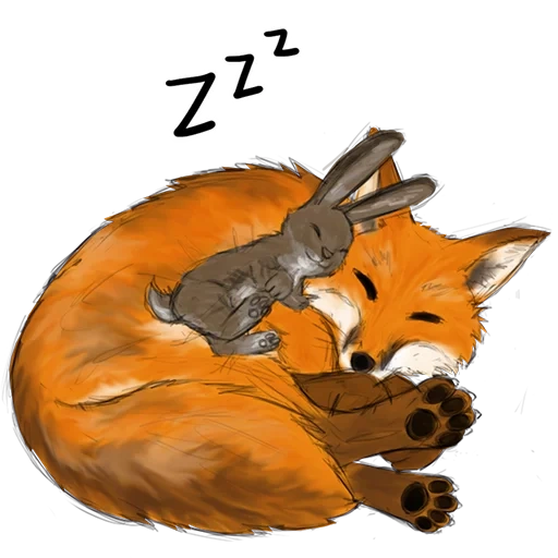 fox, fox fox, fox drawing, illustration of the fox, fox fox art