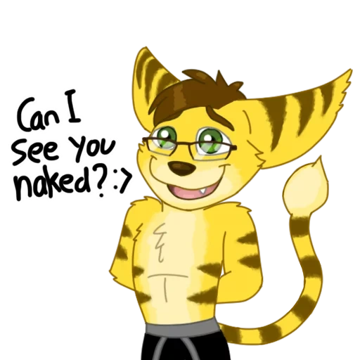 animação, cat b, personagem, mascote tigre, animação de tigre