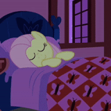 pony, фото квартире, дружба это чудо, пони флаттершай спит, my little pony friendship is magic