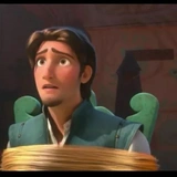 Flynn rider