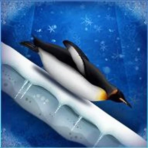 pingüino, pak pak, pingüinos de la pareja, pingüinos al hielo, hermoso pingüino