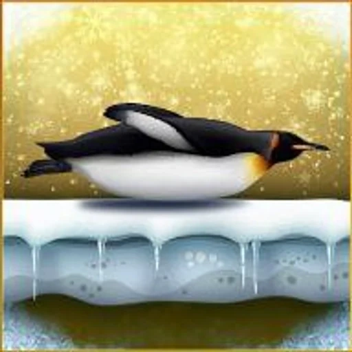 penguin, penguin bird, penguin flying, penguins lie down, flying penguin