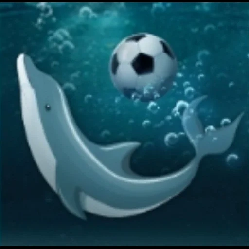 delfín, delfín con una pelota, un par de delfines