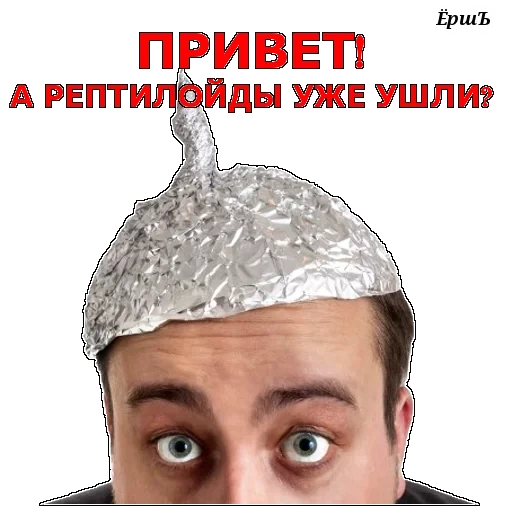 screenshot, tinfoil cap, cat-head tin foil, tinfoil for men's hats, a man in a tin foil hat