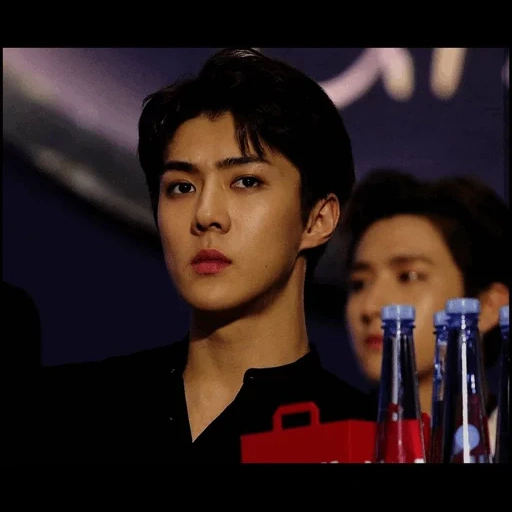 sehun, oh sehun, exo sehun, park chang yeol, aktor korea