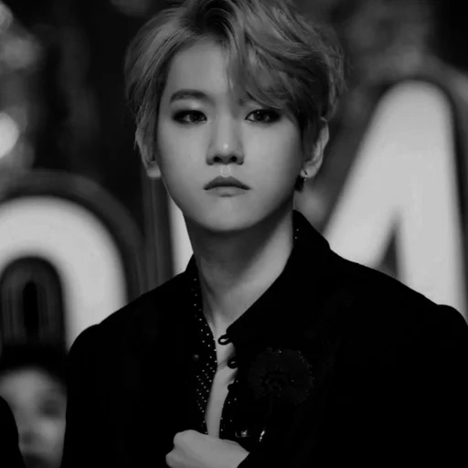 cantante, park chang-lie, baekhyun exo, echo baixing 2020, estética de carnell