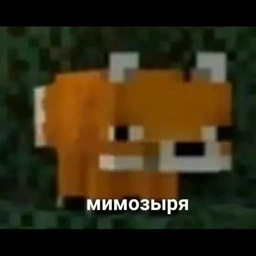 mimoshyr fox, minecraft fox, minecraft fox, mèmes avec renards minecraft, mimoshyr minecraft fox