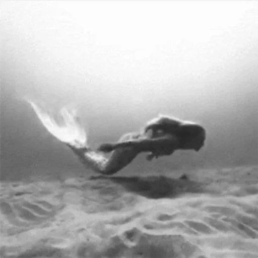 под водой, мужик русалка, девушка русалка, русалка эстетика, настоящая русалка