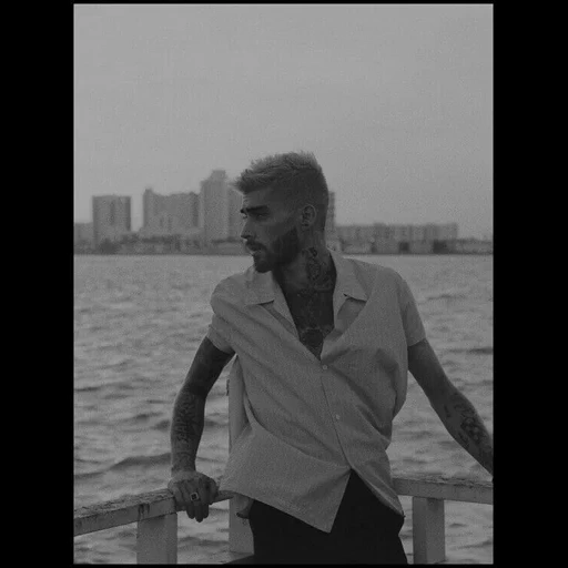 zayn, человек, зейн малик, zayn pillowtalk, zayn the kooples