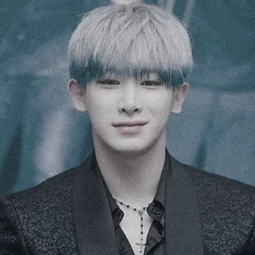 wonho, monsta x, минхек вонхо, wonho monsta x, monsta x hyungwon