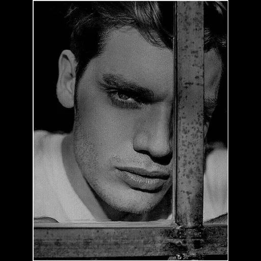 der junge mann, dominic sherwood, wattpad dominic, die wolf baby kollektion, dominic sherwood bello