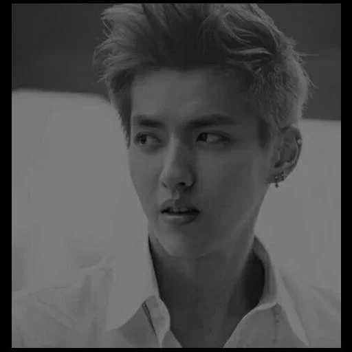 chris, i cantanti, chris wu, exo kris, chris wu exo