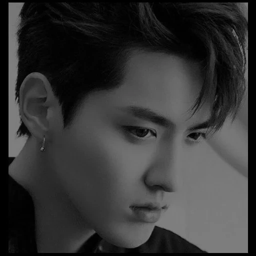 die sängerin, lucas nct, the handsome, koreanische schauspieler, kris exo gutaussehend