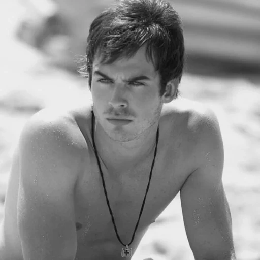 copier le lien, ian somerholder, damon salvatore, ian somerholder thors, l'acteur ian somerholder