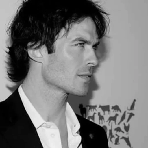 ian somerhold, damon salvatore, damon el salvador, ian somerhold matega, ian somerhold 50 cenizas