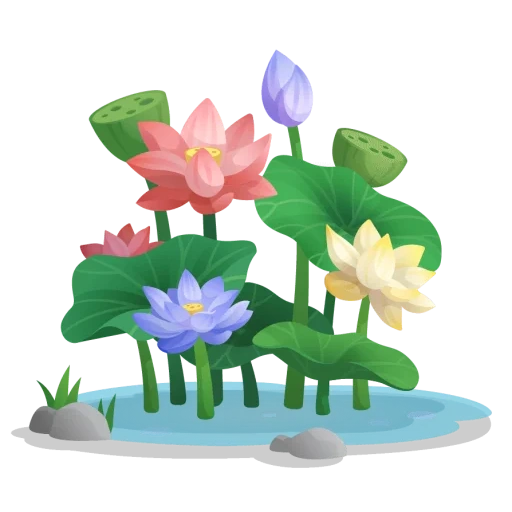 лотос, лист лотоса, цветок лотоса, цветущий лотос, стебель лотоса
