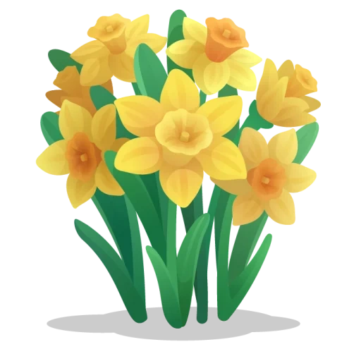 daffodil, нарцисс желтый, цветок нарцисс, нарцисс клипарт, нарцисс белом фоне