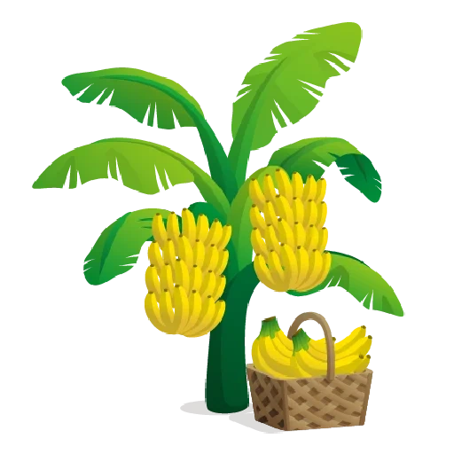 банановое дерево, банановое дерево детей, банановое дерево вектор, банановое дерево мультик, банановое дерево иллюстрация горшке