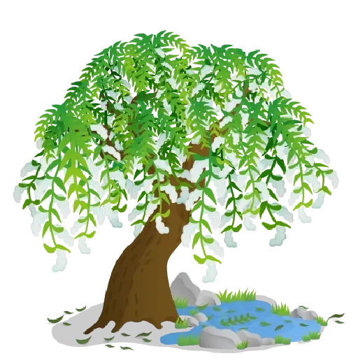 tree, дерево, природа, дерево зеленое, бисерное дерево плакучая ива