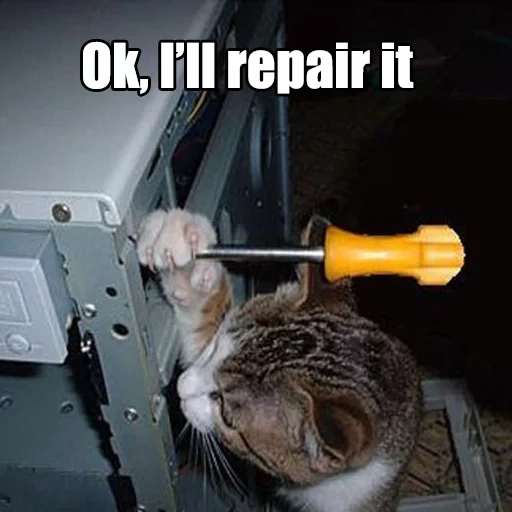 cat, kurt, seal, cat screwdriver, cat wrench