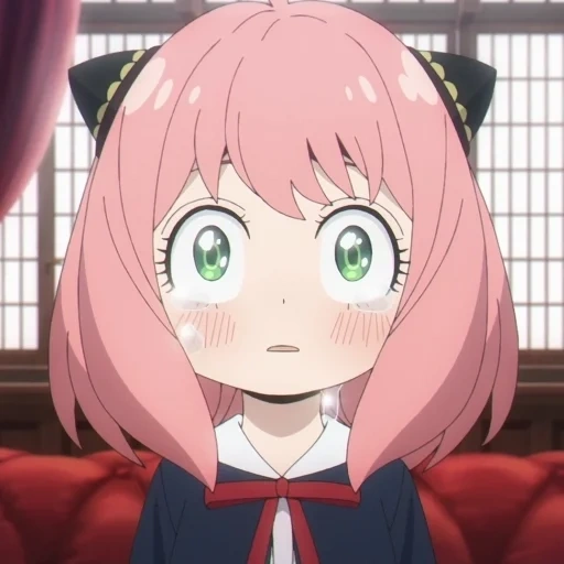 anime, animação, esses anime, família spay, captura de tela de anime