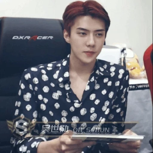 sehun, meme sehun, exo sehun, pak chanyeol, chanel sehun mem