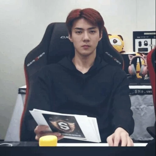 sehun, tsei hong esso, exo sehun, park chang yeol, baekhyun exo