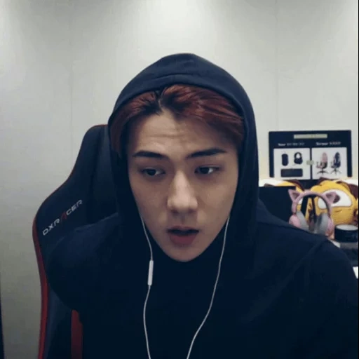 sehun, tipo, exo sehun, sehun pubg, pak chanyeol