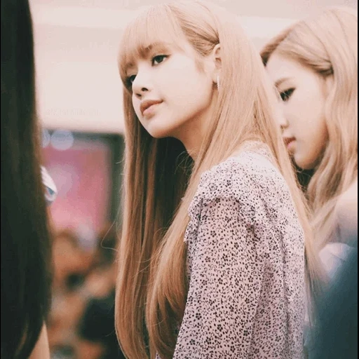 black powder, lisa blackpink, der fuchs blackpink, jennie blackpink, prinzessin lalisa manoban