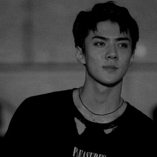 sehun exo, sourcils sehun, van pour 2020, la maison de taehen séoul, séance photo de sehun 2018