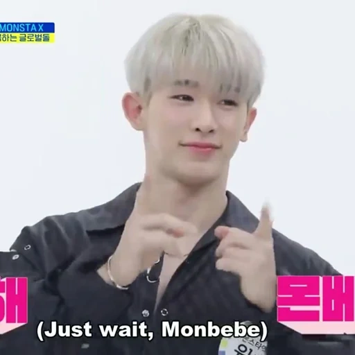 asiatisch, korea jungen, wonho monsta x, hoshi siebzehn, siebzehn hoshi tiger