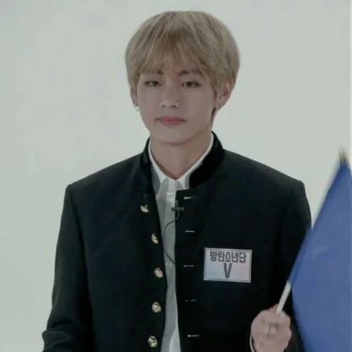 bts v, азиат, братья бтс, ран бтс 74, bangtan boys