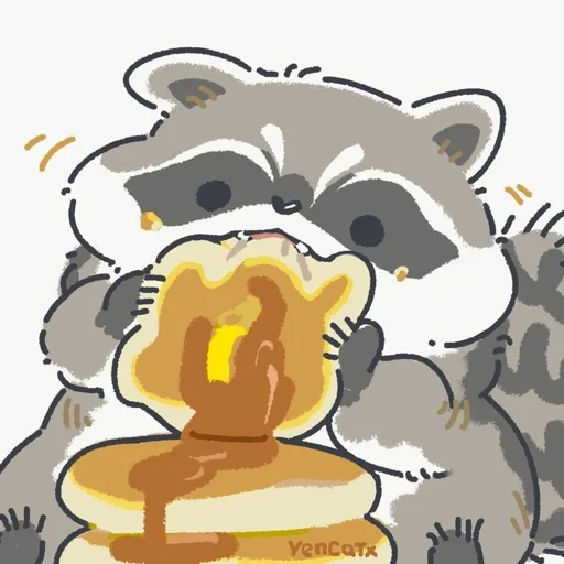 raccoon, raccoon drawing