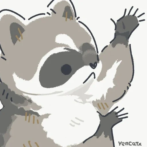 raccoon, yencatx, raccoon, raccoon drawing, raccoon cute drawing