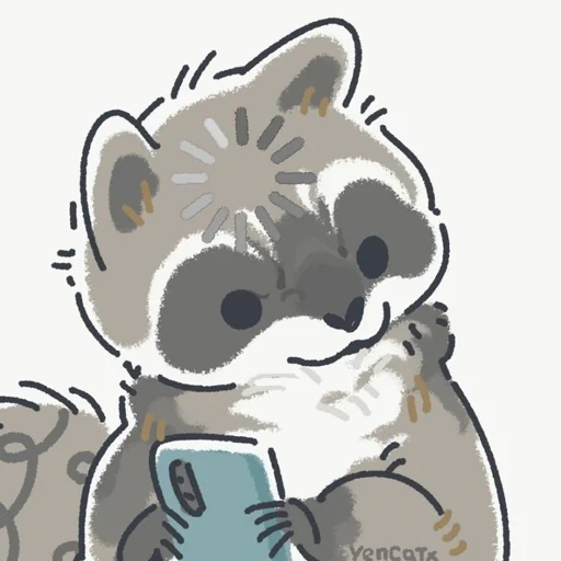 raccoon, raccoon, the raccoon is cute, raccoon drawing, raccoon cute drawing