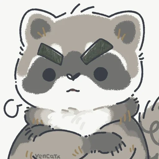raccoon, raccoon, the raccoon is cute