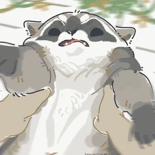 raccoon, raccoon, the raccoon is cute, raccoon cute drawing