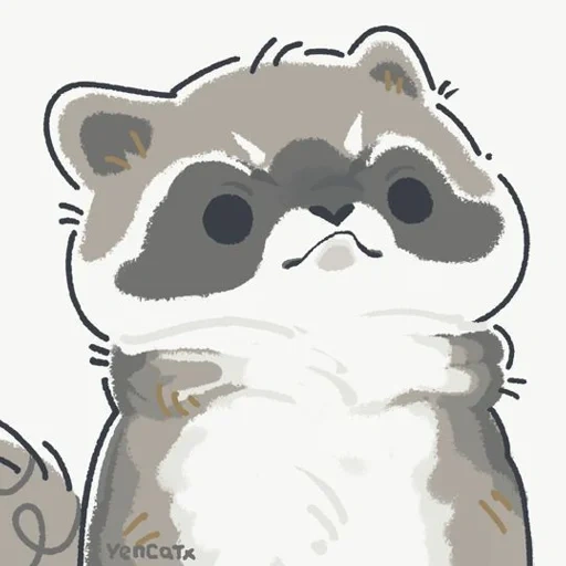 raccoon, the raccoon is cute, raccoon cute drawing