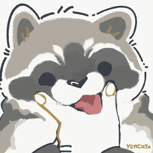 rakun, rakun itu lucu, raccoon menggambar lucu