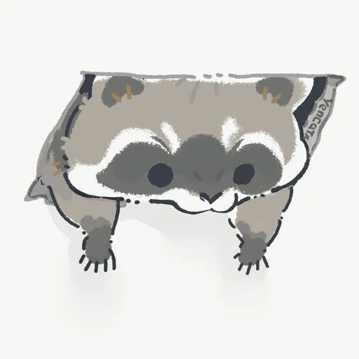 raccoon, raccoon illustration, raccoon cute drawing