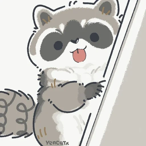 raccoon, the raccoon is cute, raccoon cute drawing