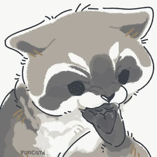 cat, raccoon, raccoon, the raccoon is cute, raccoon cute drawing