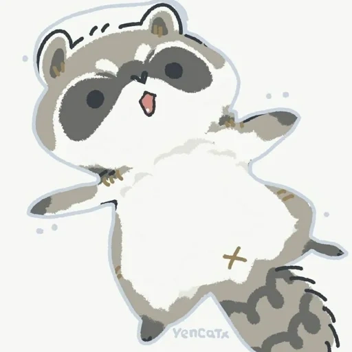 cat, raccoon, the raccoon is cute, raccoon cute drawing