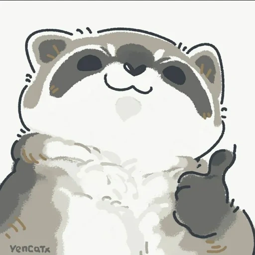 raccoon, raccoon, the raccoon is cute, raccoon cute drawing