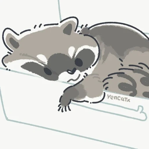 raccoon, yencatx, the raccoon is cute, raccoon drawing, raccoon cute drawing