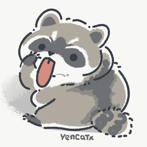 raccoon, raccoon, raccoon illustration, raccoon cute drawing