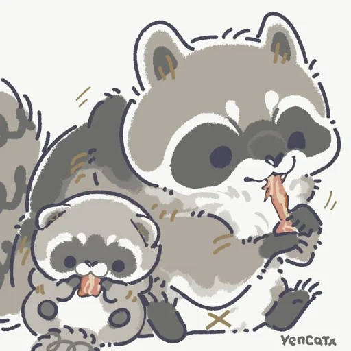 the raccoon is cute, the raccoon, raccoon art, raccoon drawing, raccoon cute drawing